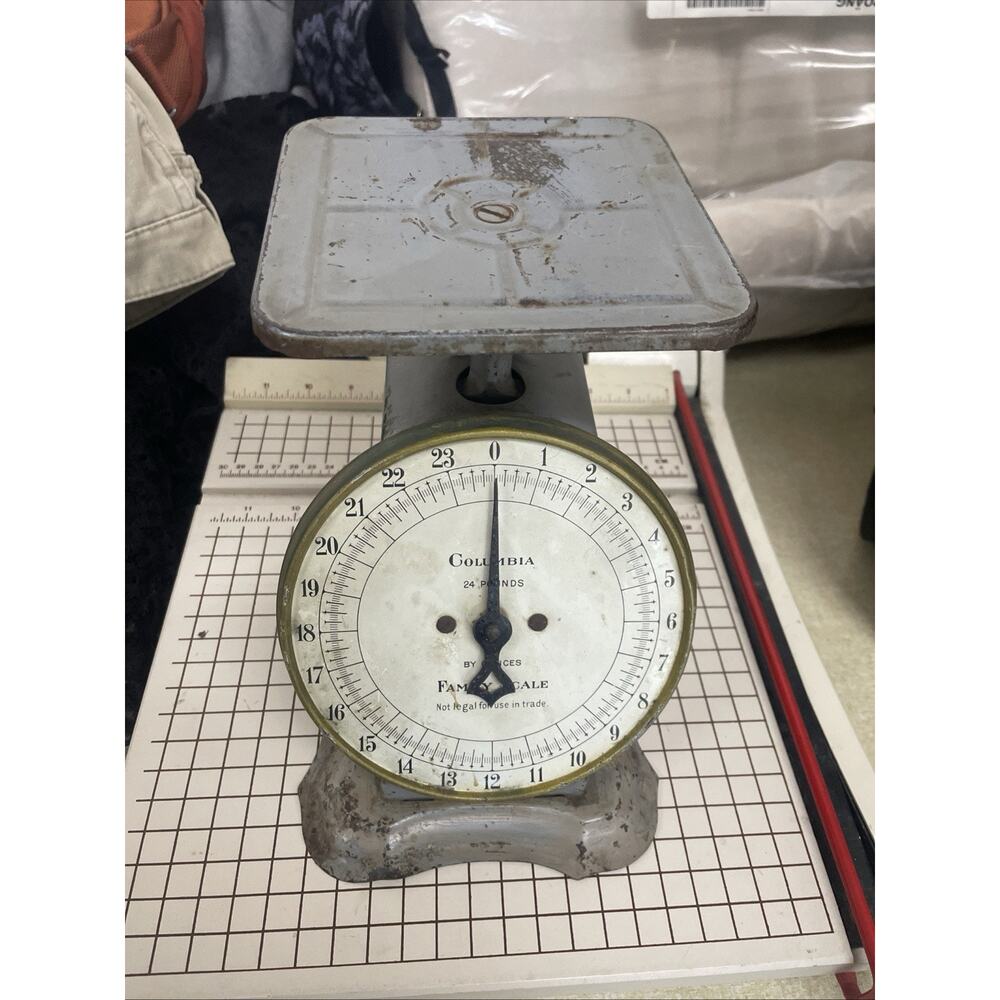 ANTIQUE VINTAGE LANDERS FRARY CLARK COLUMBIA FAMILY SCALE 24 LB GREEN
